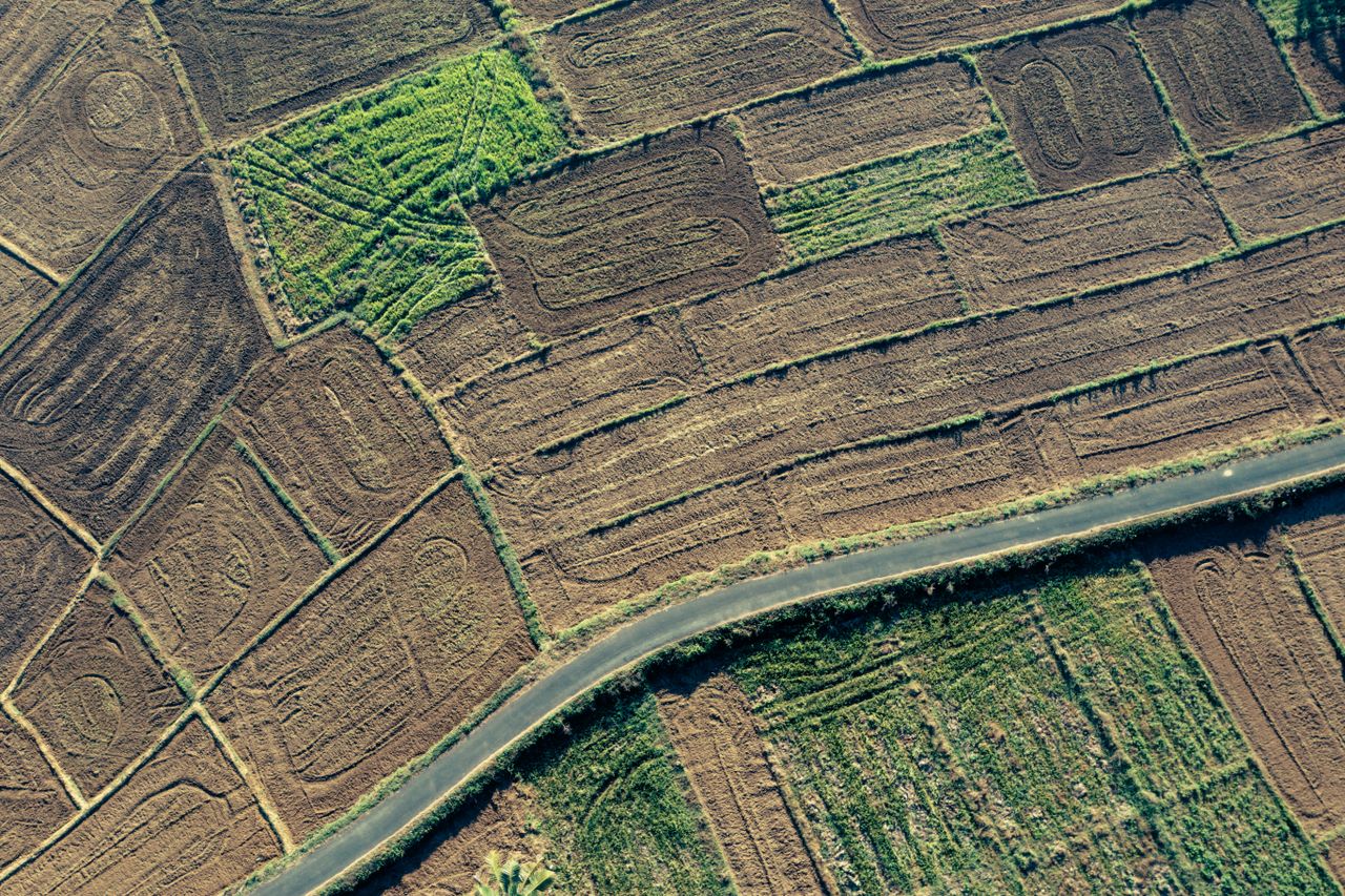 Aerial perspective of brown and green agricultural fields intersected by a road.